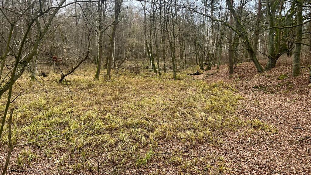 Działka na sprzedaż Szczecin, Płonia 11 479 m2 | Arka Nieruchomości