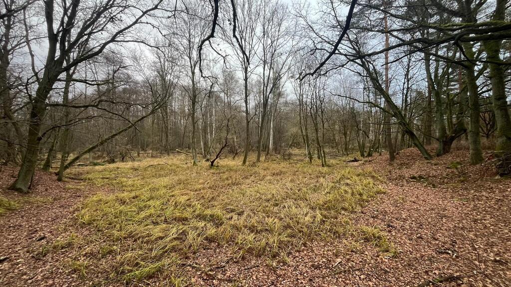 Działka na sprzedaż Szczecin, Płonia 11 479 m2 | Arka Nieruchomości
