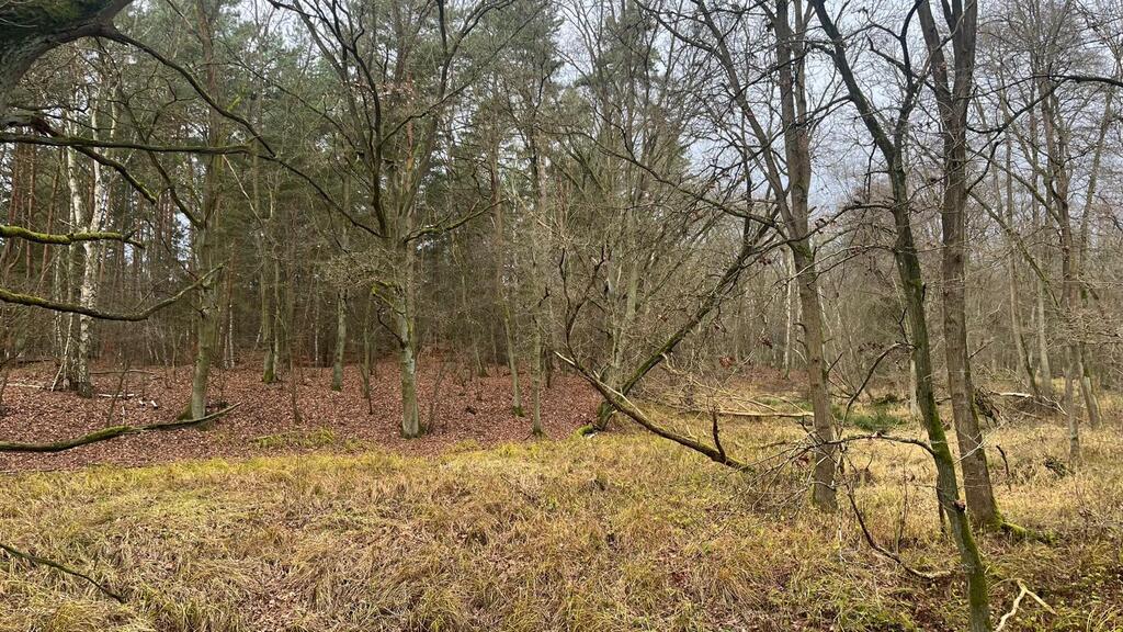 Działka na sprzedaż Szczecin, Płonia 11 479 m2 | Arka Nieruchomości
