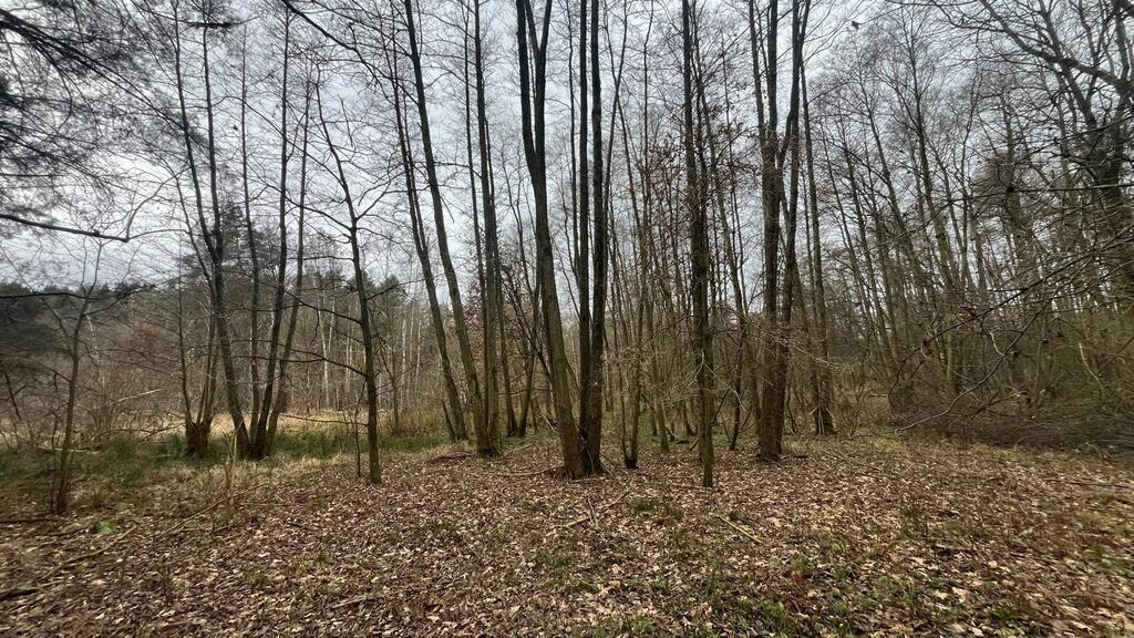 Działka na sprzedaż Szczecin, Płonia 11 479 m2 | Arka Nieruchomości