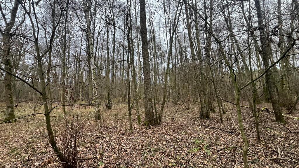 Działka na sprzedaż Szczecin, Płonia 11 479 m2 | Arka Nieruchomości