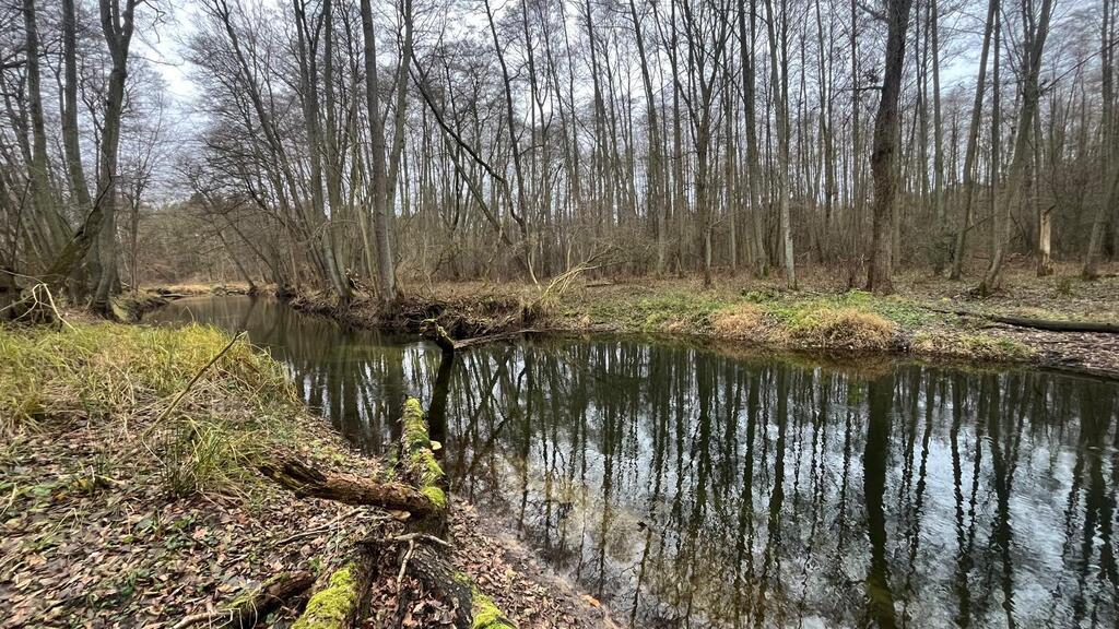 Działka na sprzedaż Szczecin, Płonia 11 479 m2 | Arka Nieruchomości