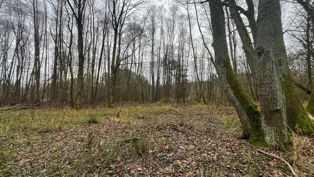 Działka na sprzedaż Szczecin, Płonia 11 479 m2 | Arka Nieruchomości