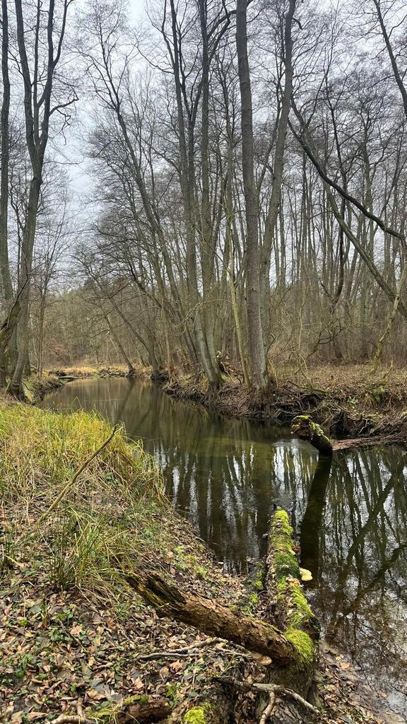 Działka na sprzedaż Szczecin, Płonia 11 479 m2 | Arka Nieruchomości