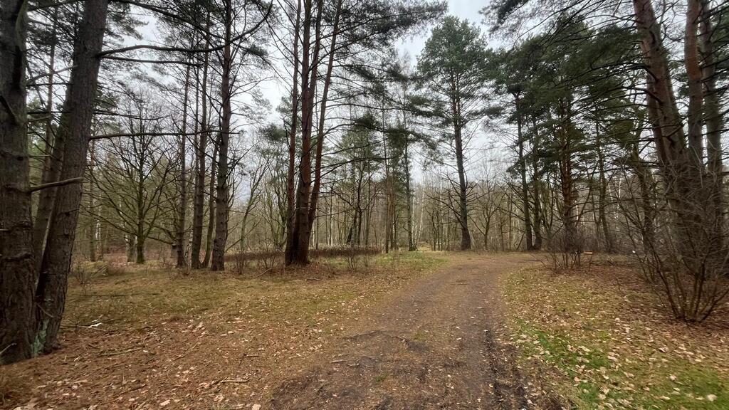 Działka na sprzedaż Szczecin, Płonia 11 479 m2 | Arka Nieruchomości