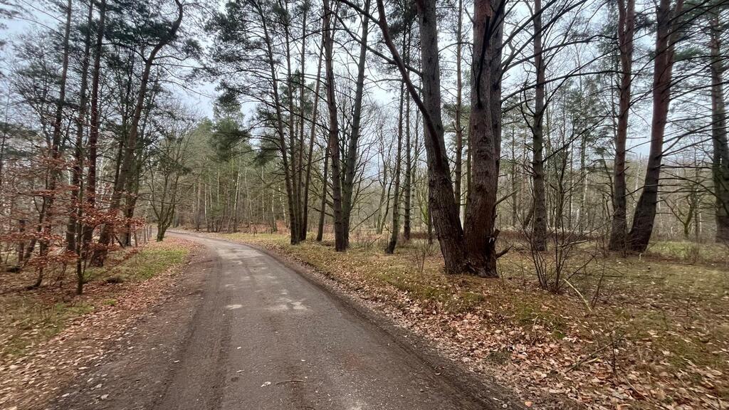 Działka na sprzedaż Szczecin, Płonia 11 479 m2 | Arka Nieruchomości