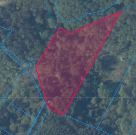 Działka na sprzedaż Szczecin, Płonia 11 479 m2 | Arka Nieruchomości