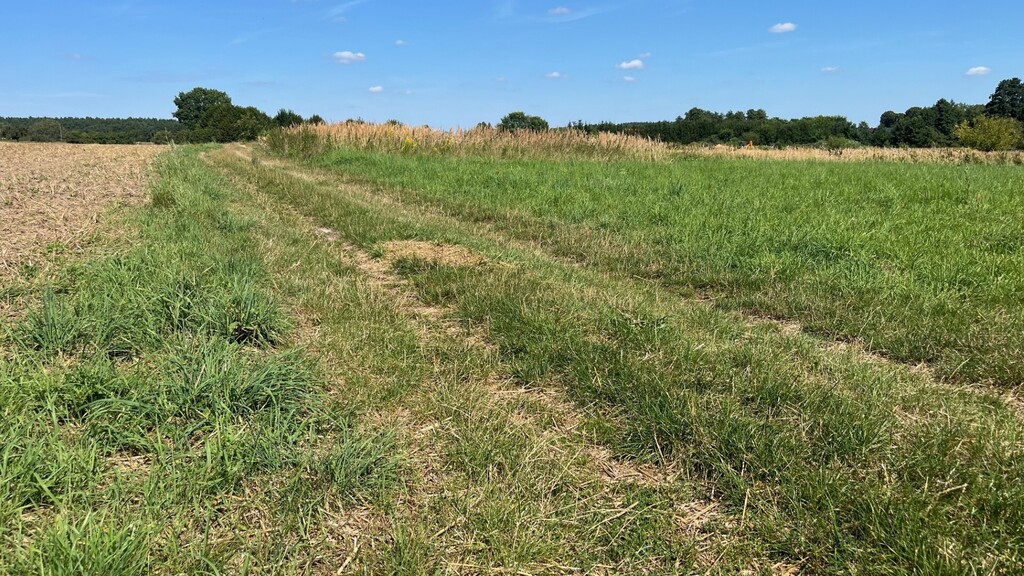 Działka na sprzedaż Bielkowo 1 106 m2 | Arka Nieruchomości