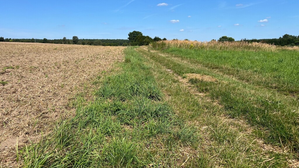 Działka na sprzedaż Bielkowo 1 043 m2 | Arka Nieruchomości