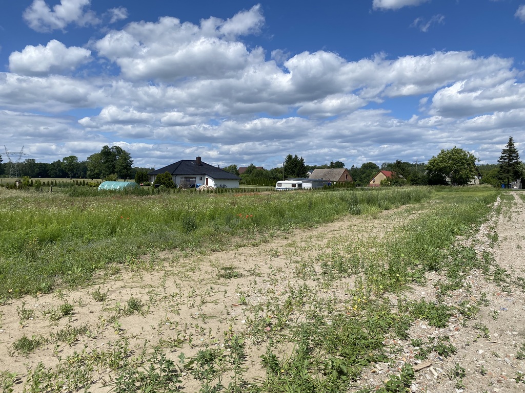 Działka na sprzedaż Pogrzymie 687 m2 | Arka Nieruchomości