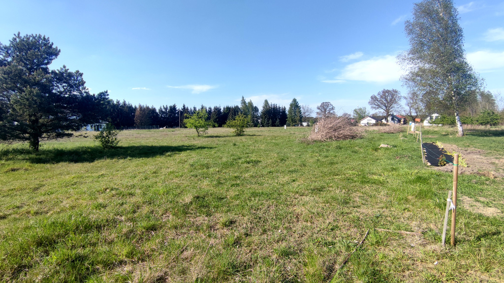 Działka na sprzedaż Sławoszewo 1 391 m2 | Arka Nieruchomości