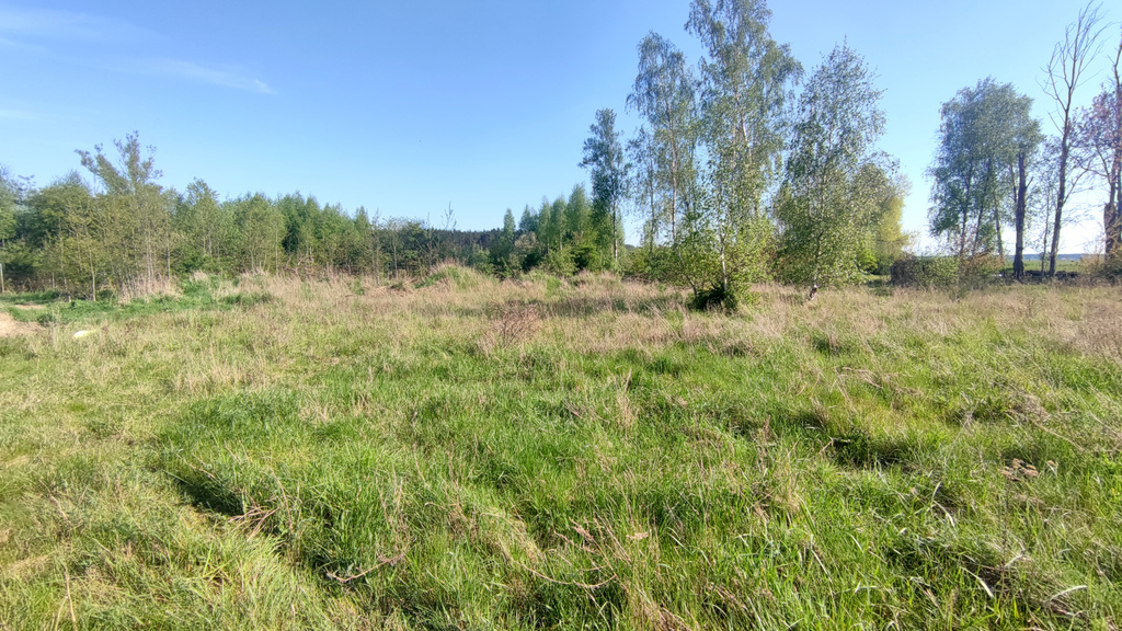 Działka na sprzedaż Sławoszewo 918 m2 | Arka Nieruchomości