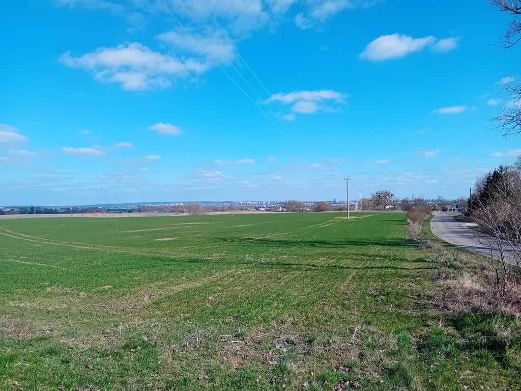 Działka na sprzedaż Karwowo 5 000 m2 | Arka Nieruchomości