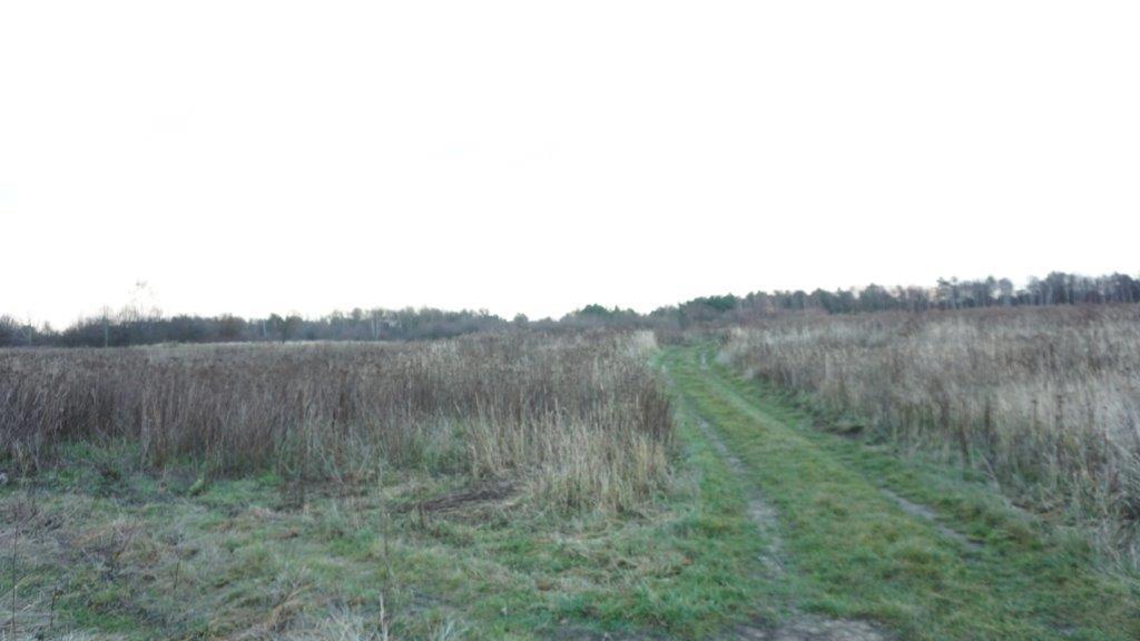 Działka na sprzedaż Szczecin, Kijewko 1 762 m2 | Arka Nieruchomości