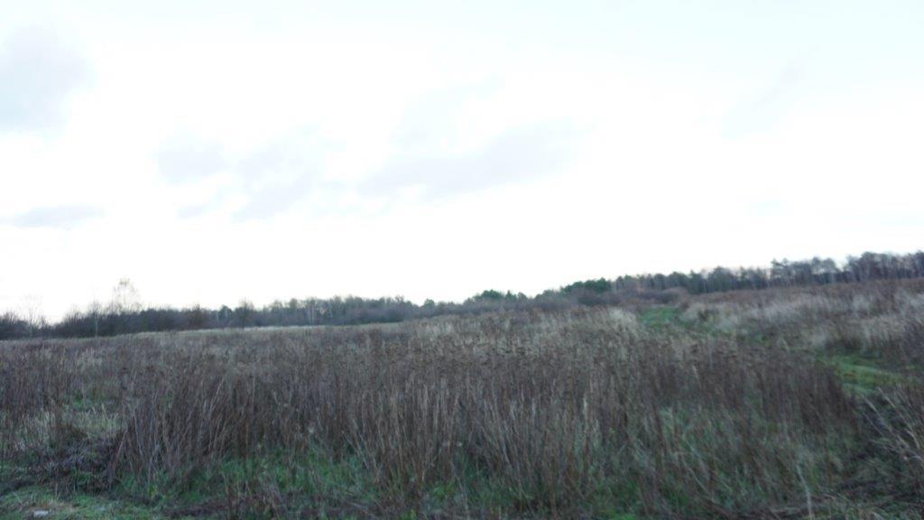 Działka na sprzedaż Szczecin, Kijewko 1 762 m2 | Arka Nieruchomości