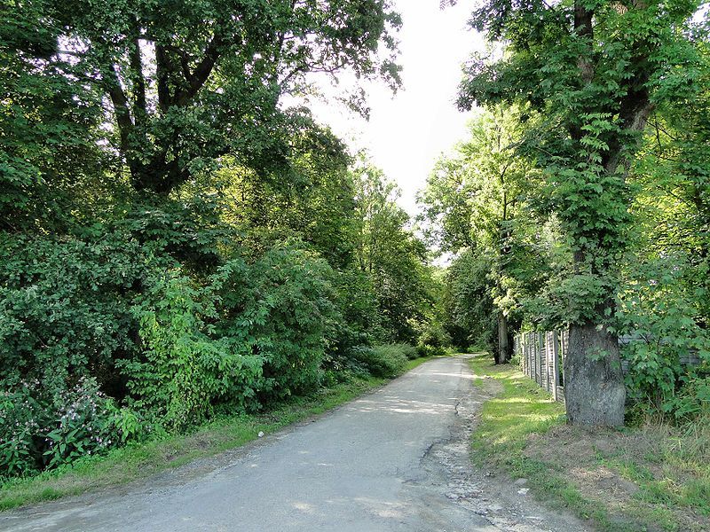 Działka na sprzedaż Kurów 20 200 m2 | Arka Nieruchomości