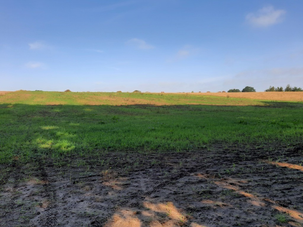 Działka na sprzedaż Kurów 20 200 m2 | Arka Nieruchomości