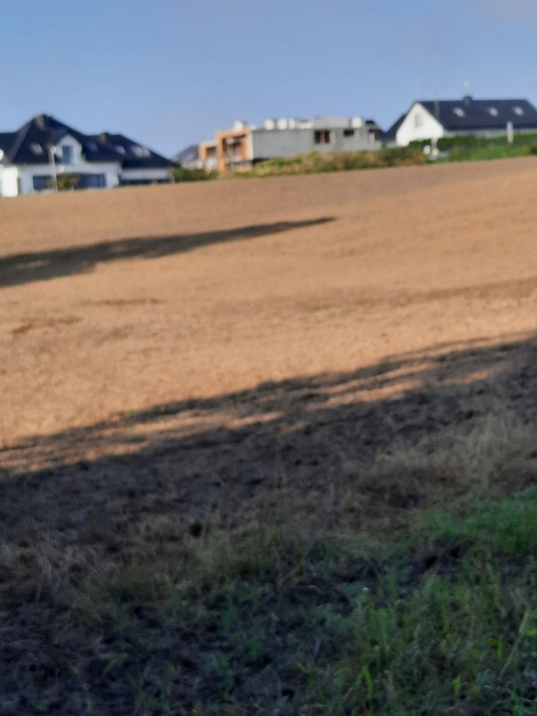 Działka na sprzedaż Kurów 20 200 m2 | Arka Nieruchomości