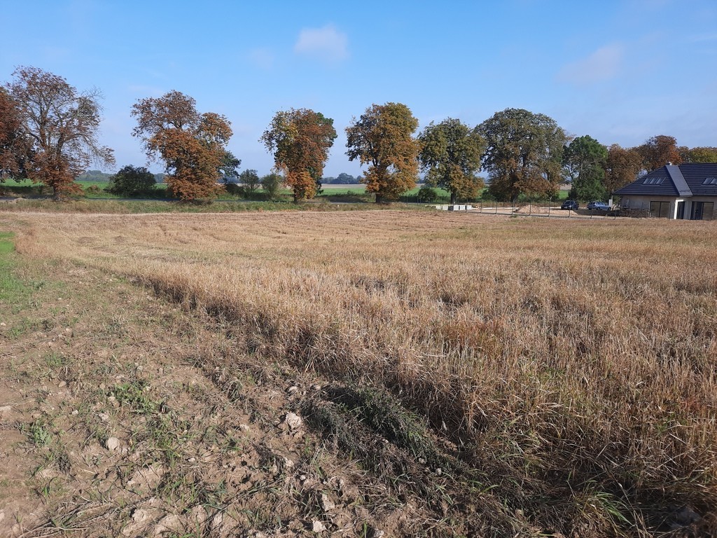 Działka na sprzedaż Kurów 20 200 m2 | Arka Nieruchomości