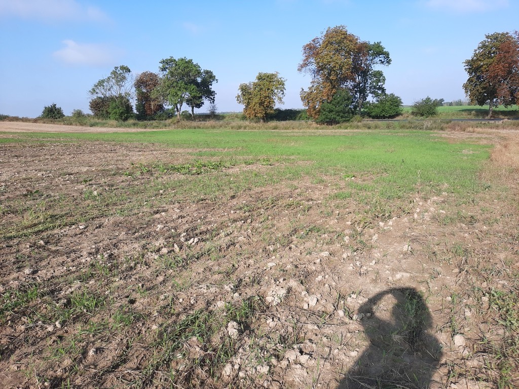 Działka na sprzedaż Kurów 20 200 m2 | Arka Nieruchomości