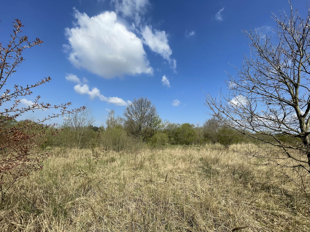 Działka na sprzedaż Mierzyn 900 m2 | Arka Nieruchomości