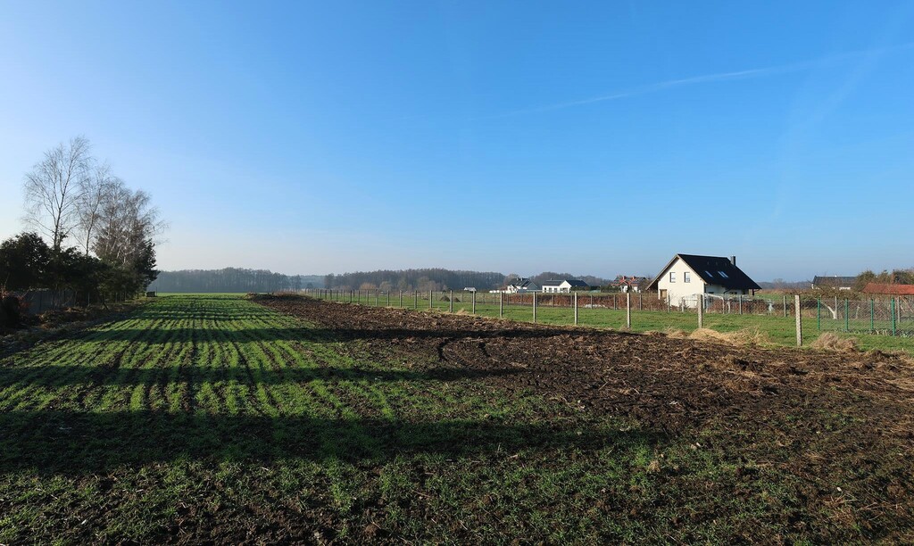 Działka na sprzedaż Przemocze 1 875 m2 | Arka Nieruchomości