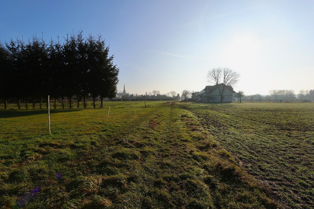 Działka na sprzedaż Przemocze 1 875 m2 | Arka Nieruchomości