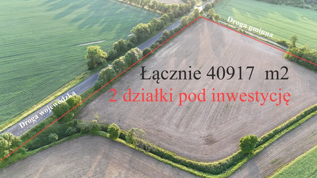Działka na sprzedaż Ryszewko 40 917 m2 | Arka Nieruchomości
