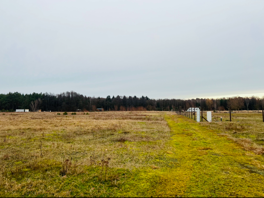 Działka na sprzedaż Grzepnica 3 001 m2 | Arka Nieruchomości