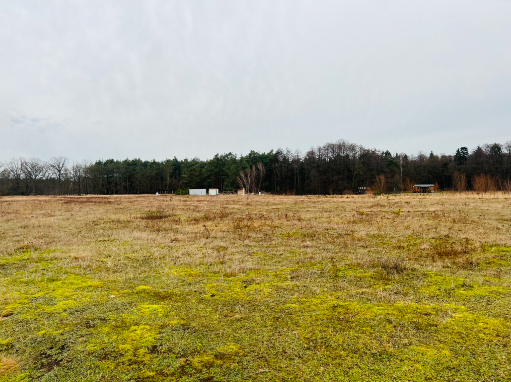 Działka na sprzedaż Grzepnica 3 001 m2 | Arka Nieruchomości