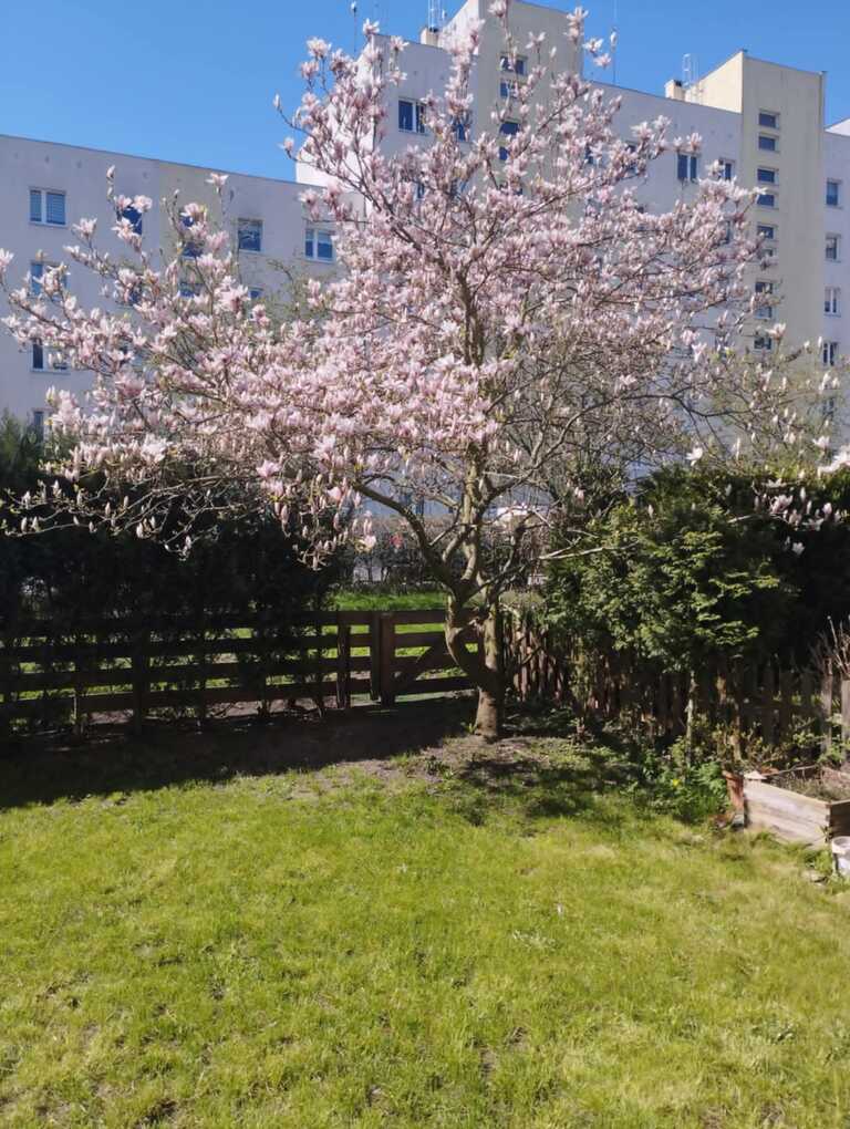 Mieszkanie na sprzedaż Szczecin, Książąt Pomorskich 64 m2 | Arka Nieruchomości