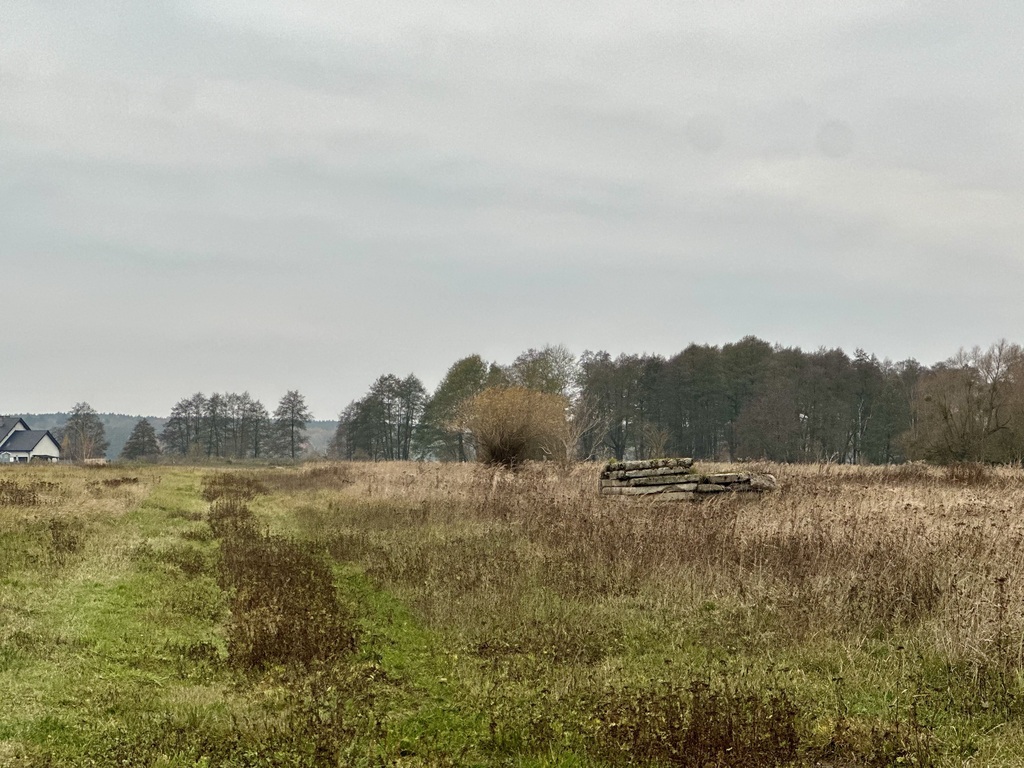 Działka na sprzedaż Dobra 6 399 m2 | Arka Nieruchomości