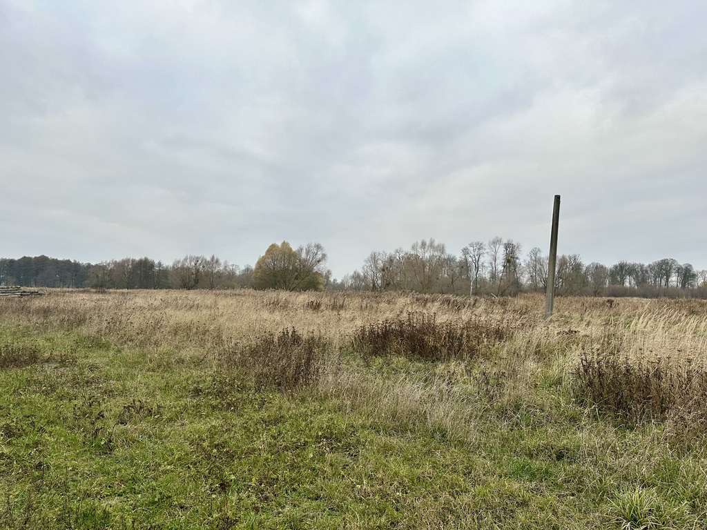 Działka na sprzedaż Dobra 6 399 m2 | Arka Nieruchomości