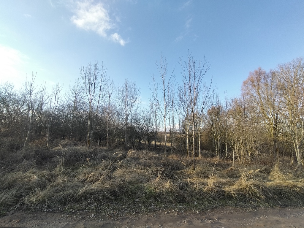 Działka na sprzedaż Siadło Dolne 3 318 m2 | Arka Nieruchomości