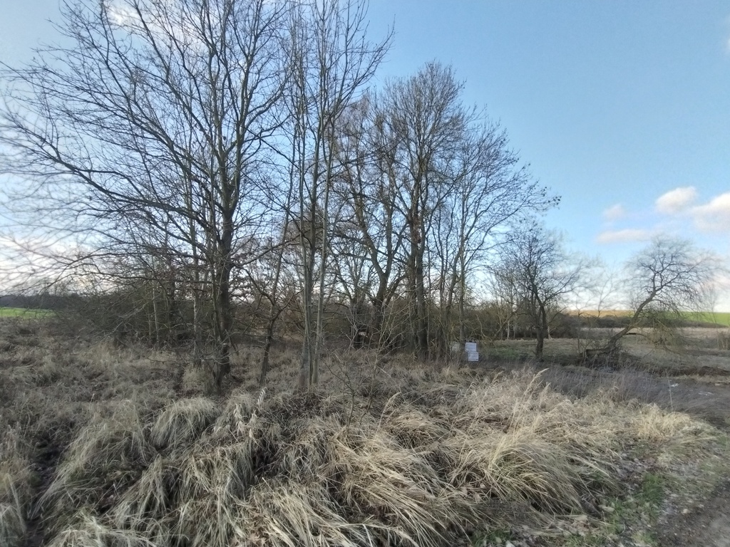 Działka na sprzedaż Siadło Dolne 3 318 m2 | Arka Nieruchomości