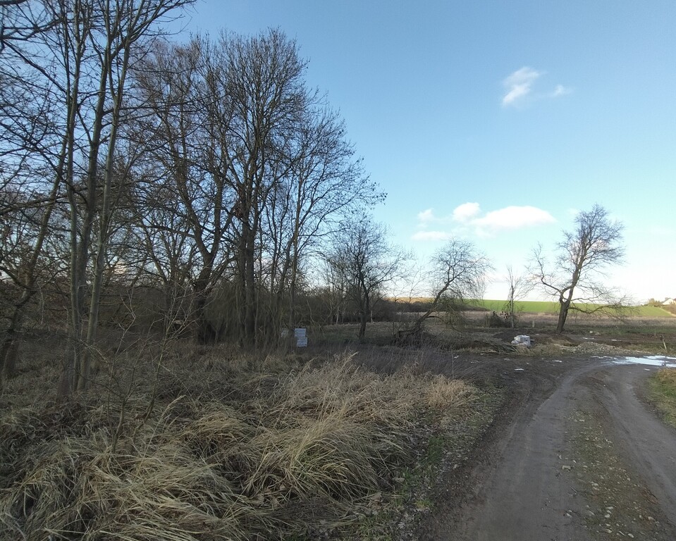 Działka na sprzedaż Siadło Dolne 3 318 m2 | Arka Nieruchomości