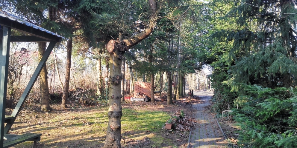 Działka na sprzedaż Rusinowo 2 313 m2 | Arka Nieruchomości
