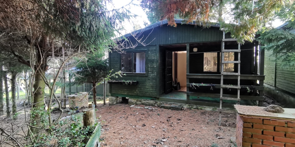 Działka na sprzedaż Rusinowo 2 313 m2 | Arka Nieruchomości