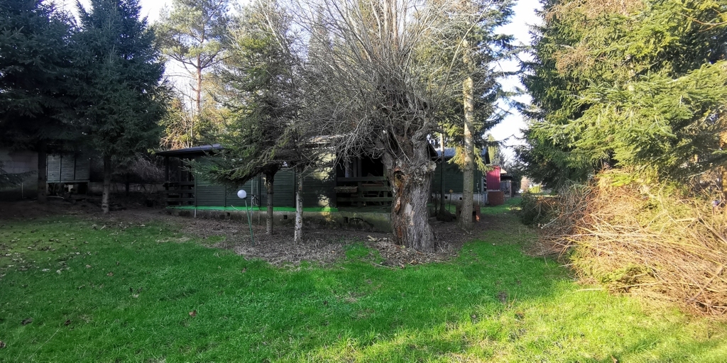 Działka na sprzedaż Rusinowo 2 313 m2 | Arka Nieruchomości