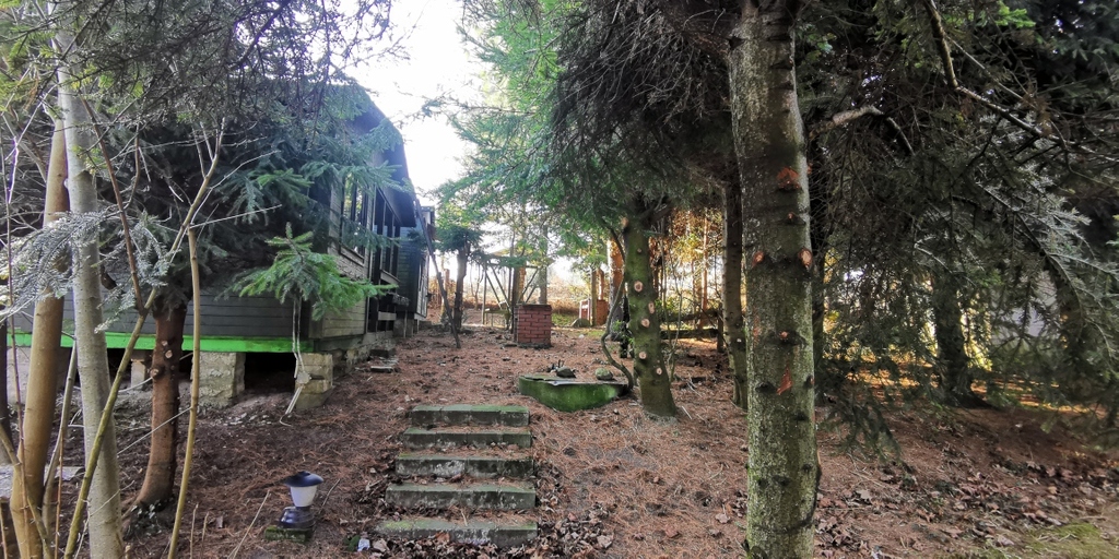Działka na sprzedaż Rusinowo 2 313 m2 | Arka Nieruchomości