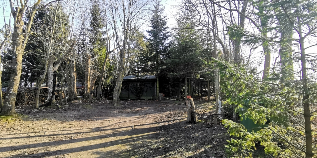 Działka na sprzedaż Rusinowo 2 313 m2 | Arka Nieruchomości