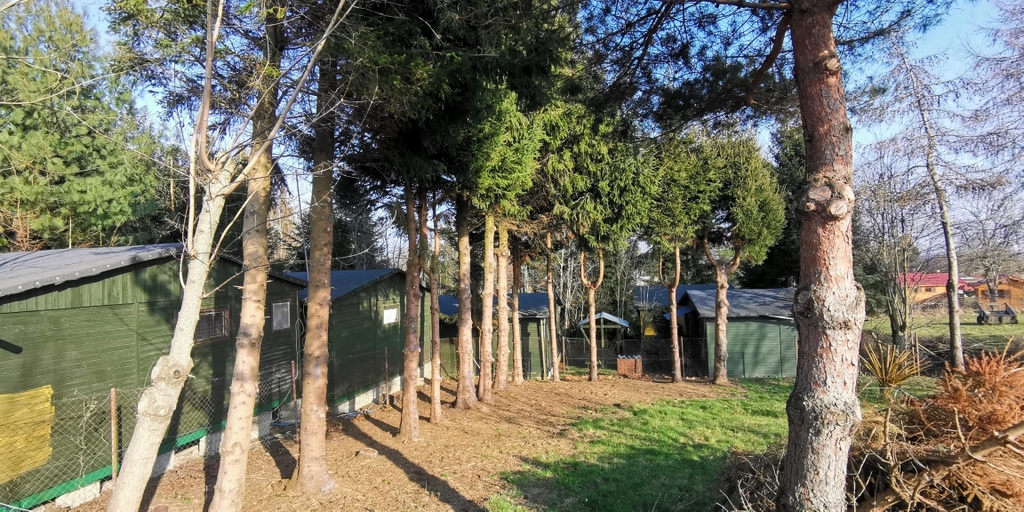Działka na sprzedaż Rusinowo 2 313 m2 | Arka Nieruchomości