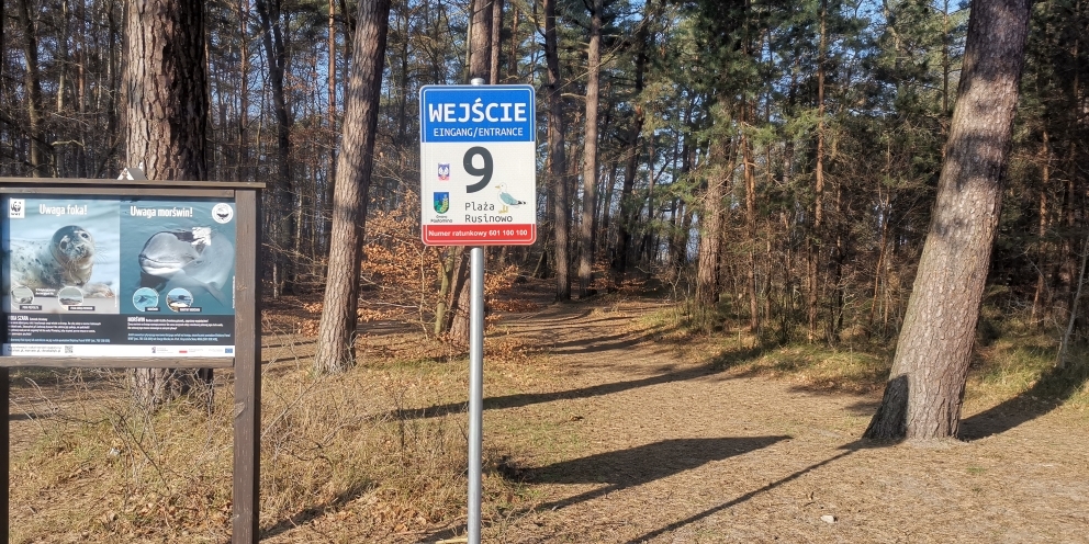 Działka na sprzedaż Rusinowo 2 313 m2 | Arka Nieruchomości