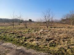 Działka na sprzedaż Łaniewo 2 269 m2 | Arka Nieruchomości