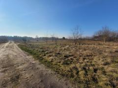 Działka na sprzedaż Łaniewo 2 269 m2 | Arka Nieruchomości