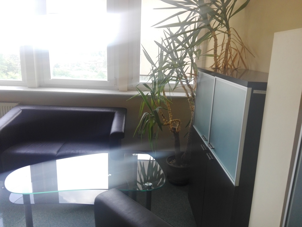 Lokal na wynajem Szczecin, Śródmieście 20 m2 | Arka Nieruchomości