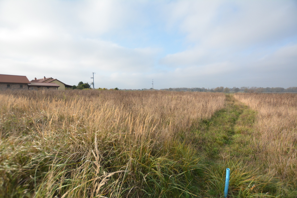 Działka na sprzedaż Wołczkowo 1 000 m2 | Arka Nieruchomości