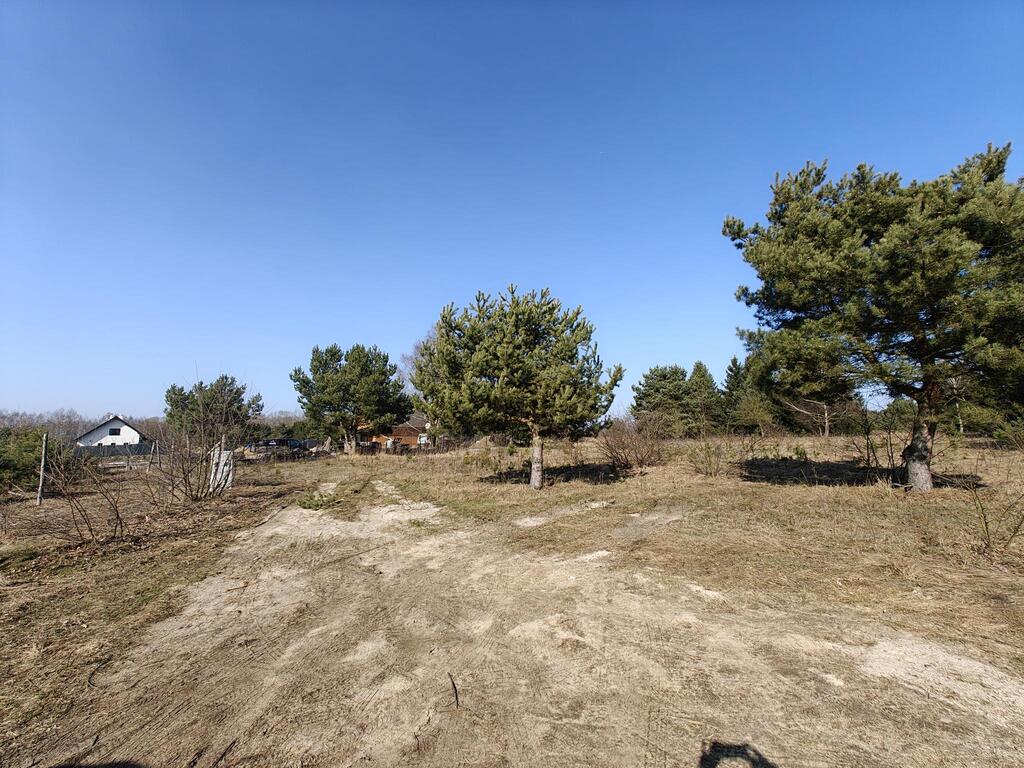 Działka na sprzedaż Żółwia Błoć 1 777 m2 | Arka Nieruchomości