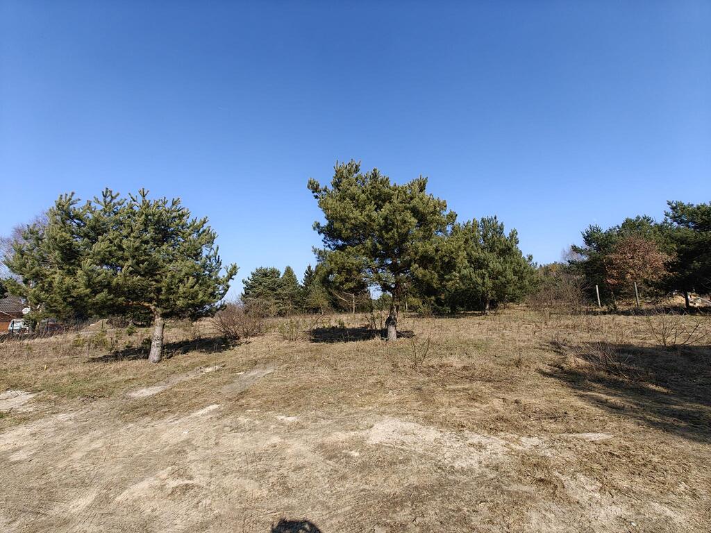Działka na sprzedaż Żółwia Błoć 1 777 m2 | Arka Nieruchomości