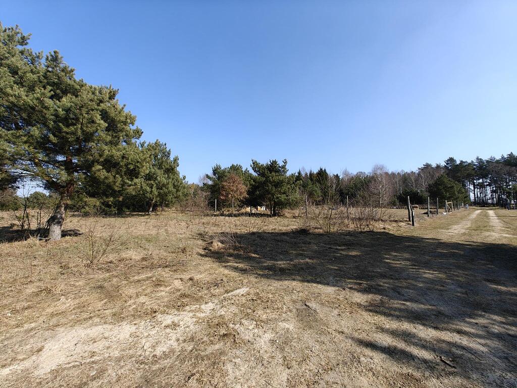 Działka na sprzedaż Żółwia Błoć 1 777 m2 | Arka Nieruchomości